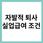 자발적 퇴사 실업급여 조건 10가지 총정리 (2022년) 5 실업급여 조건