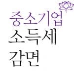 중소기업 소득세 감면 신청 방법 요약 (2022년) 9 중소기업 소득세 감면 신청 대상