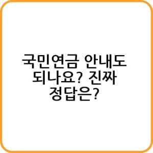 국민연금 안내도 되나요 진짜 정답은