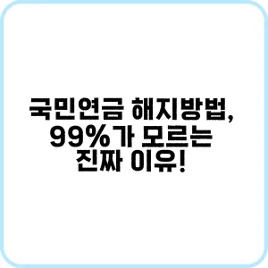 국민연금 해지방법 99가 모르는 진짜 이유