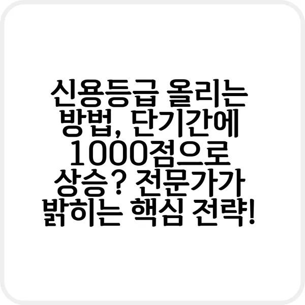 신용등급 올리는 방법 단기간에 1000점으로 상승 전문가가 밝히는 핵심 전략