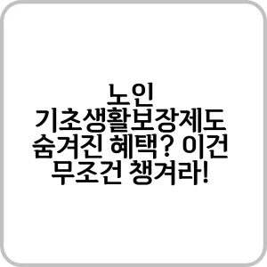 노인 기초생활보장제도 숨겨진 혜택 이건 무조건 챙겨라