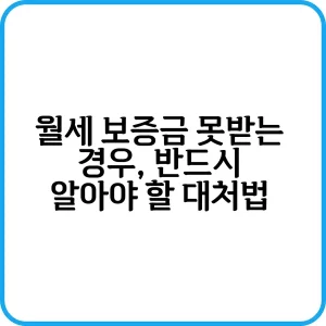 월세 보증금 못받는 경우 반드시 알아야 할 대처법