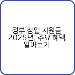 2025년 정부 창업 지원금 주요 혜택