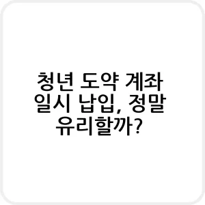 청년 도약 계좌 일시 납입과 정기납입 비교