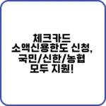 체크카드 소액신용한도 신청, 국민/신한/농협 모두 지원! 1 체크카드 소액신용한도 신청 방법